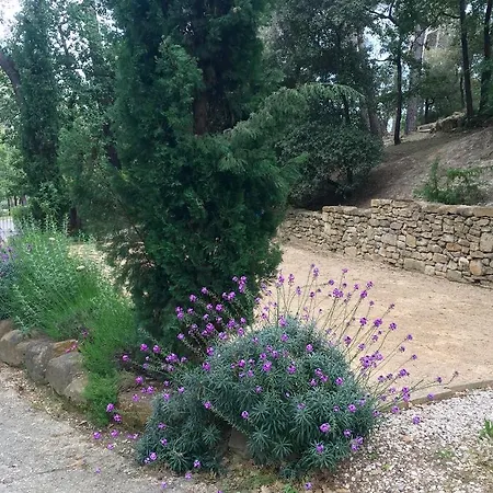 Le Marijas Les Michels